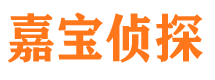 田东市侦探公司